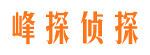 榆阳侦探公司